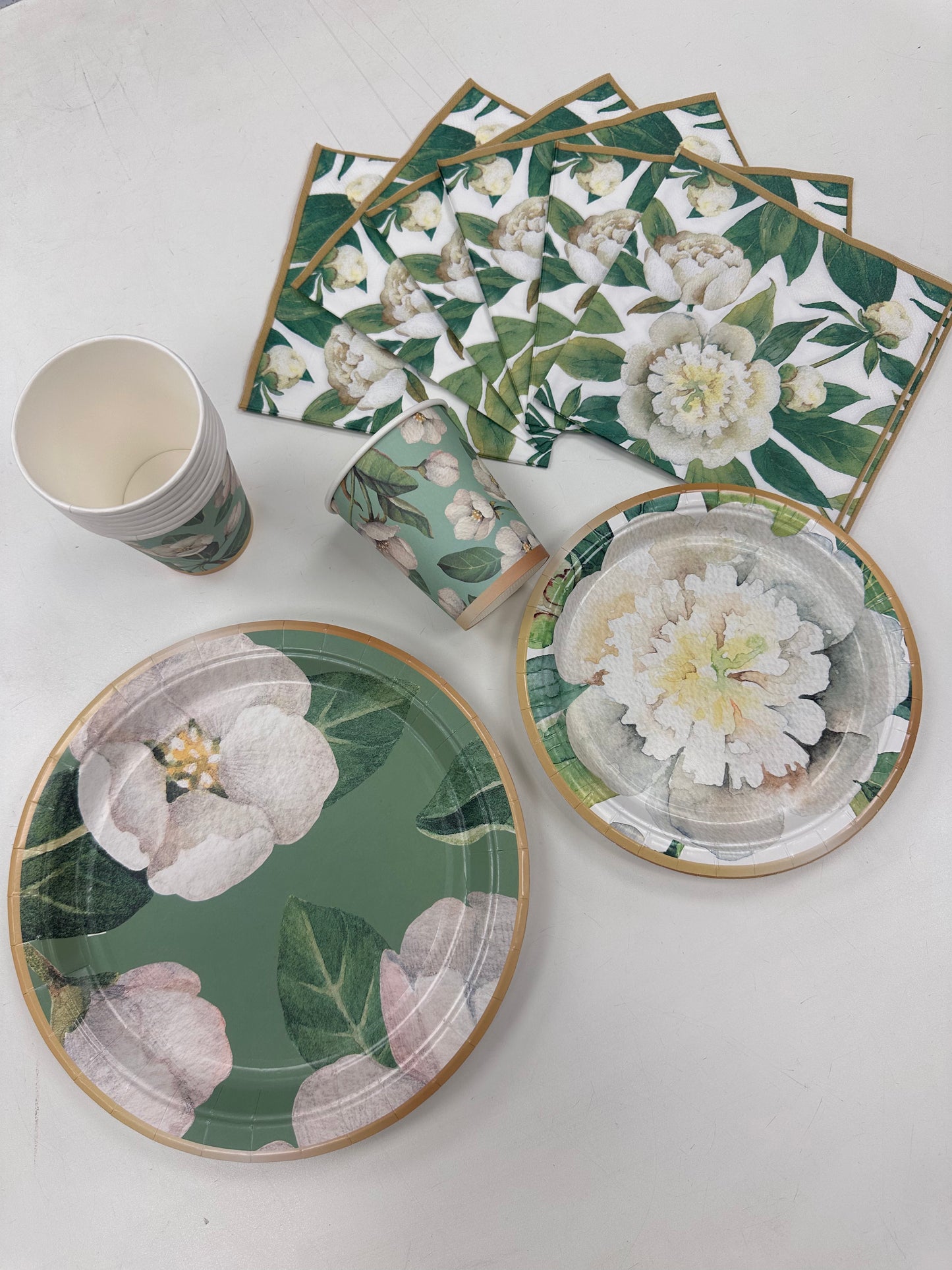 Set Cartón Magnolia, 8 Personas, 40 piezas
