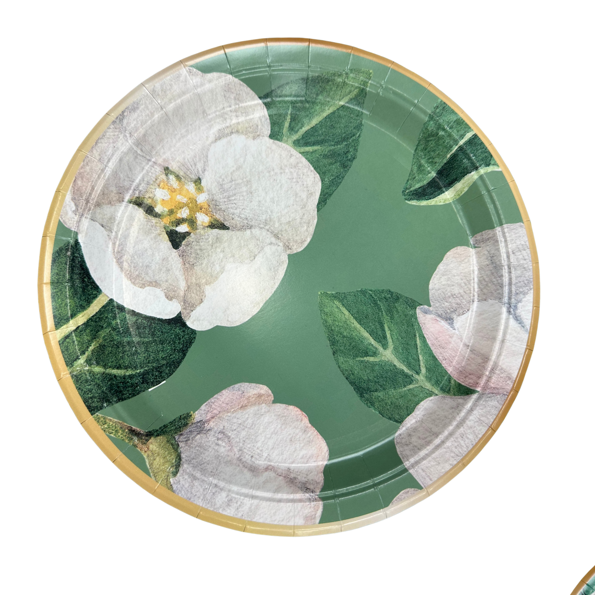 Set Cartón Magnolia, 8 Personas, 40 piezas