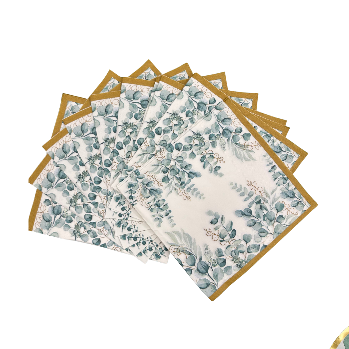 Set Cartón Hojas Verdes 8 Personas, 40 piezas