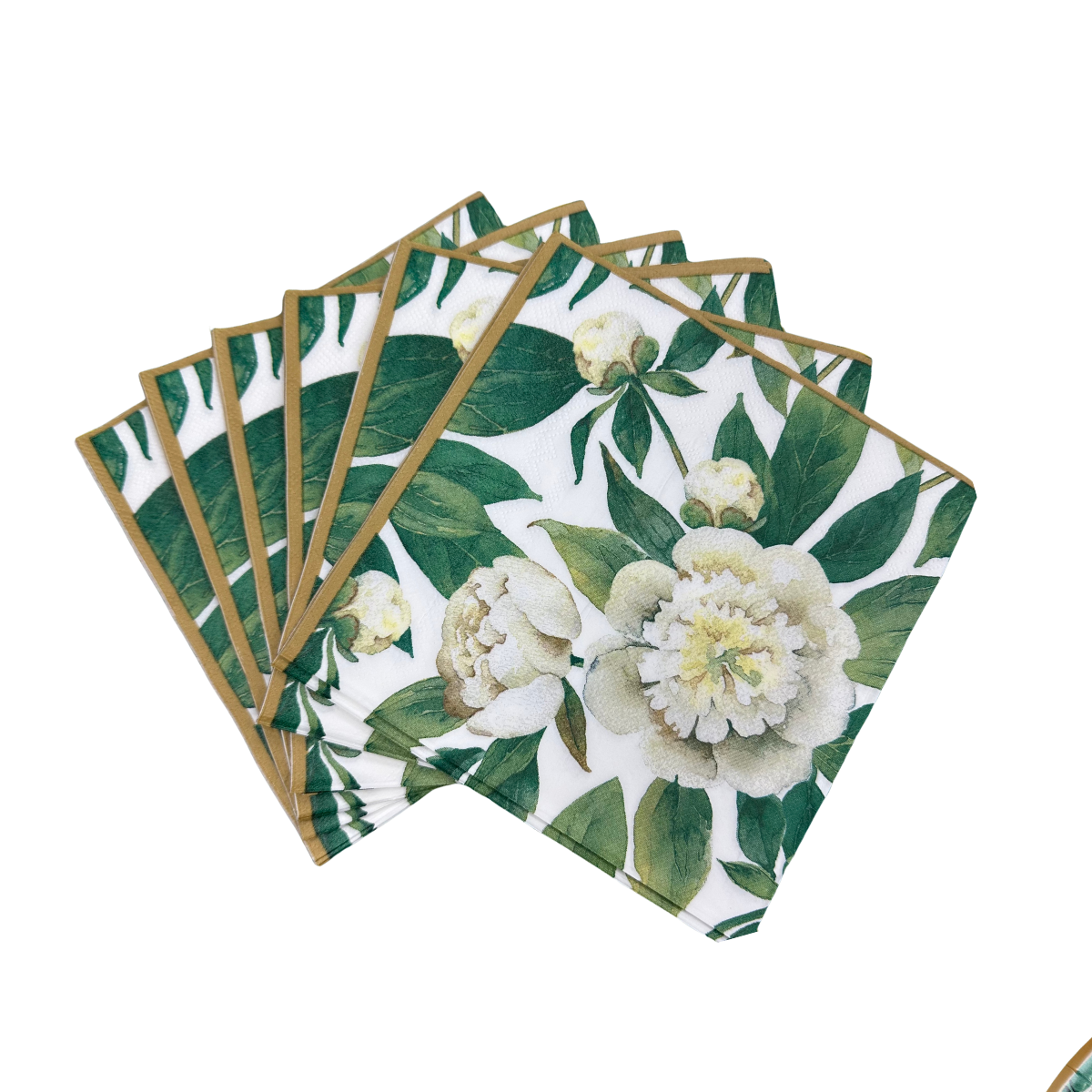 Set Cartón Magnolia, 8 Personas, 40 piezas